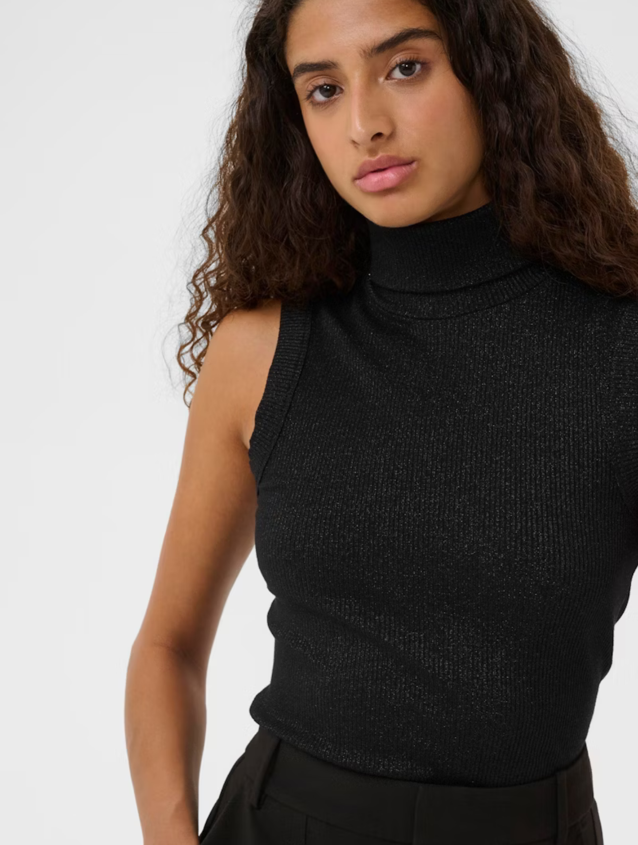 Dagna Glitter Rollneck Top