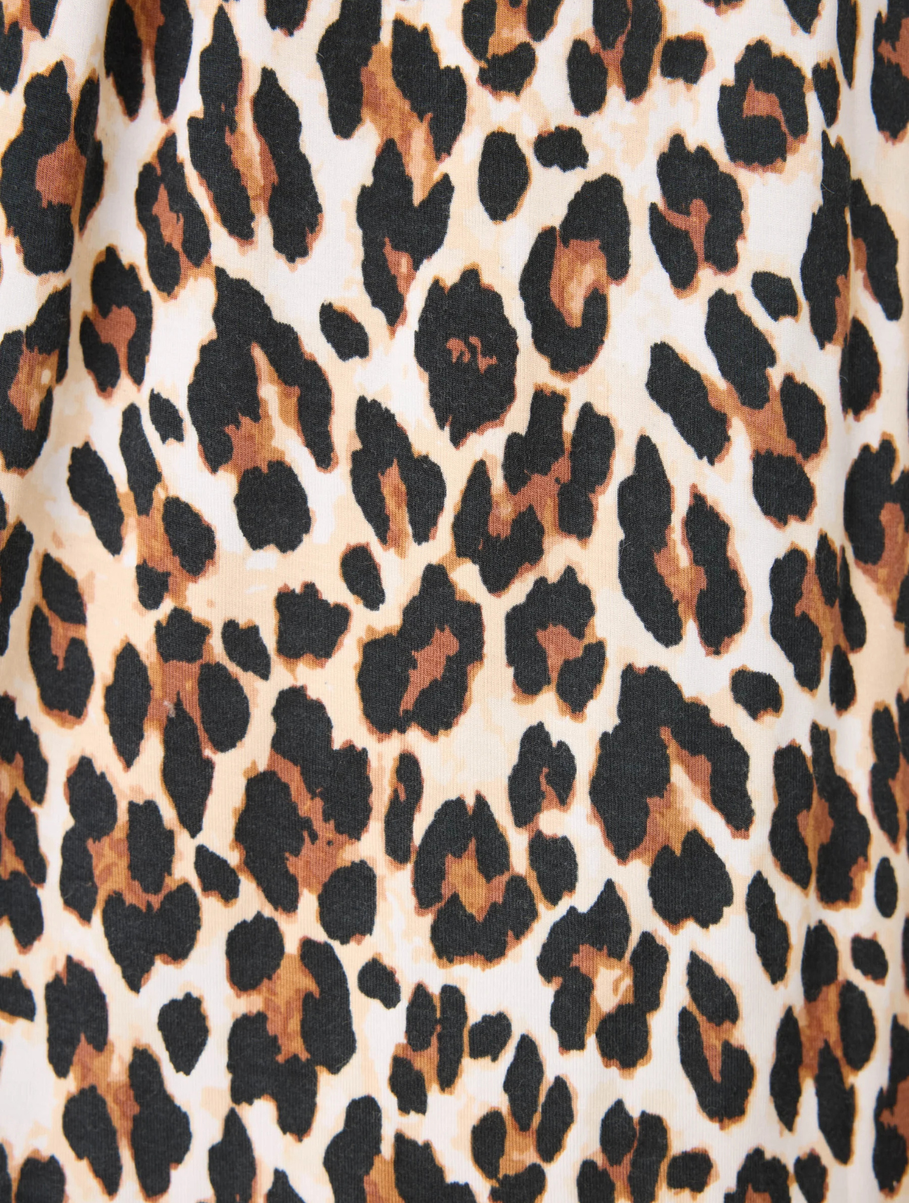 Holiday Dreams Leopard Night Shirt