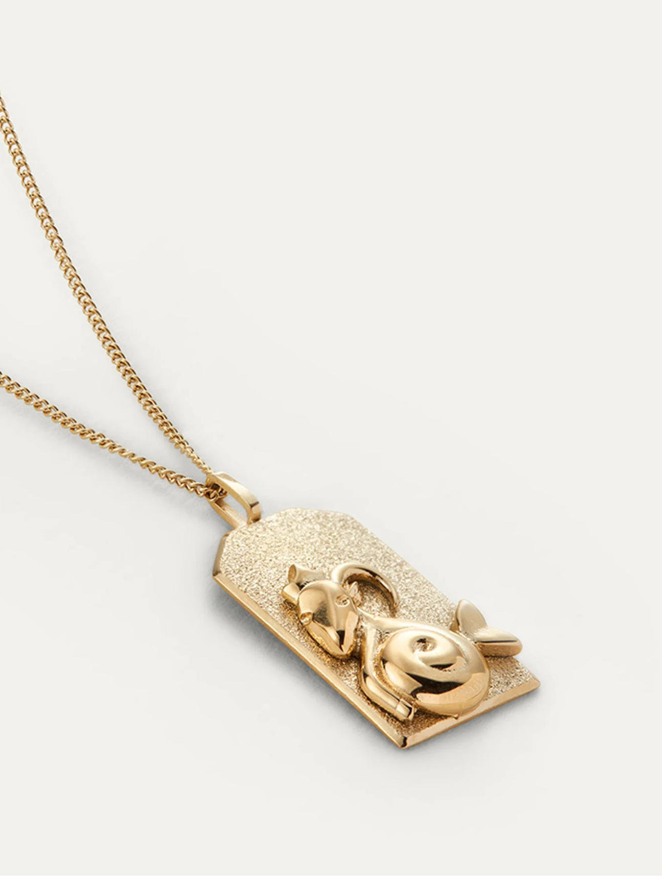 The Capricorn Zodiac Pendant Necklace