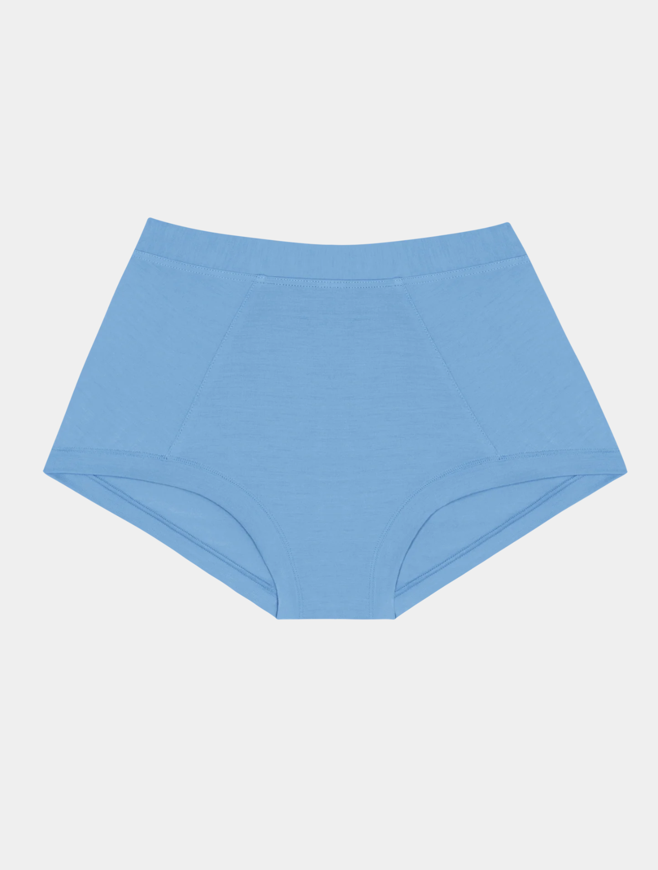 Brief Mineral Undies