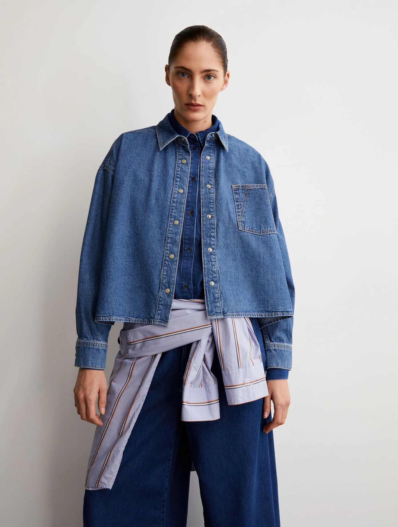 Nalaani Denim Blouse