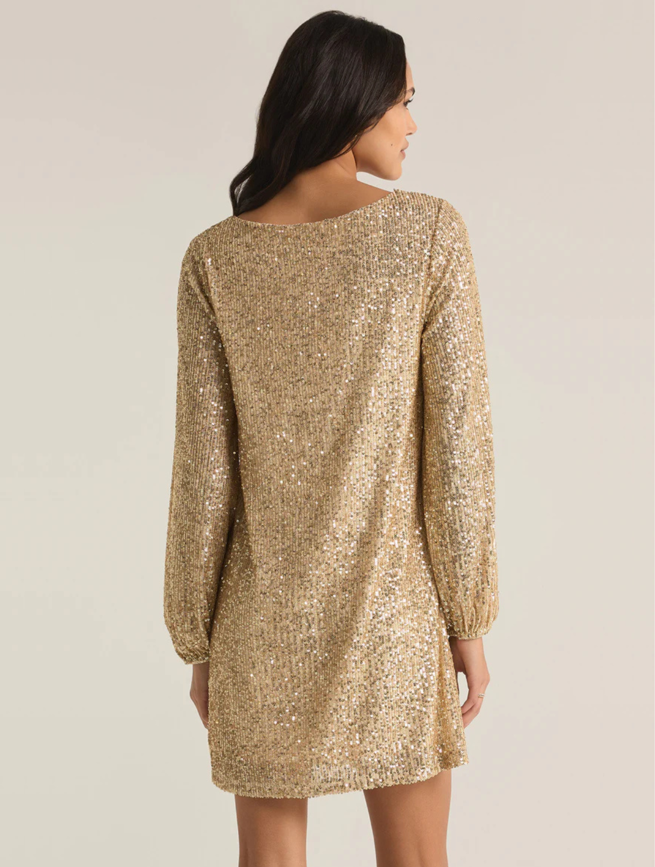 Andromeda Sequin Dress