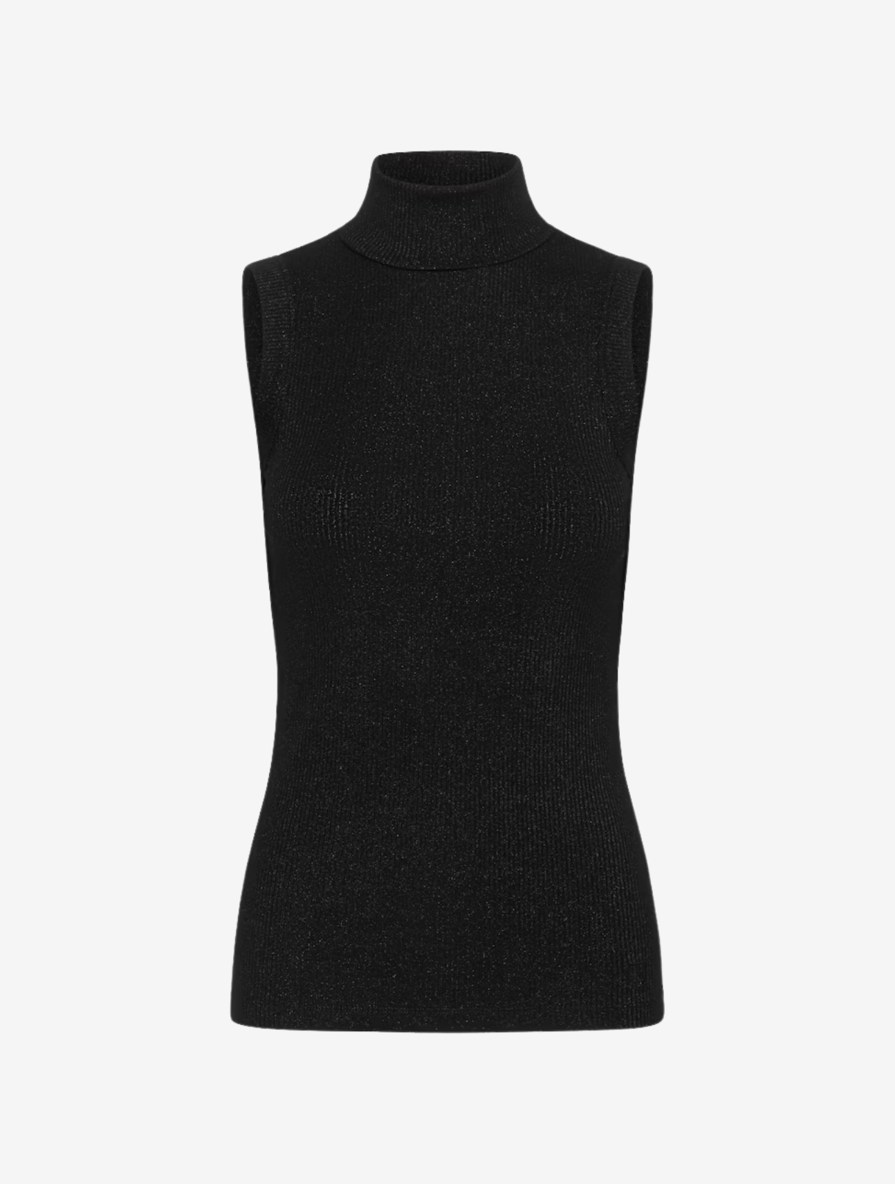 Dagna Glitter Rollneck Top