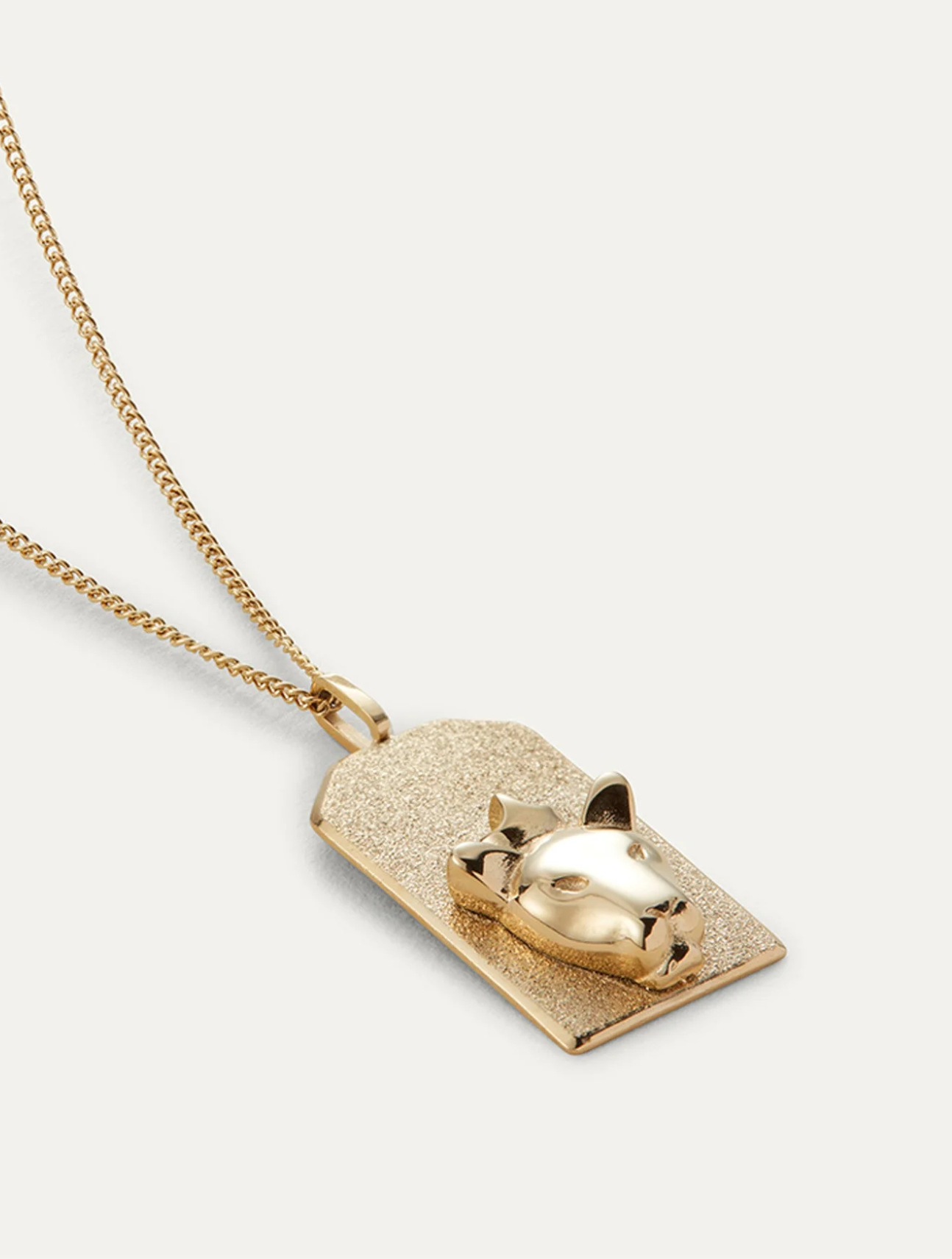 The Leo Zodiac Pendant Necklace