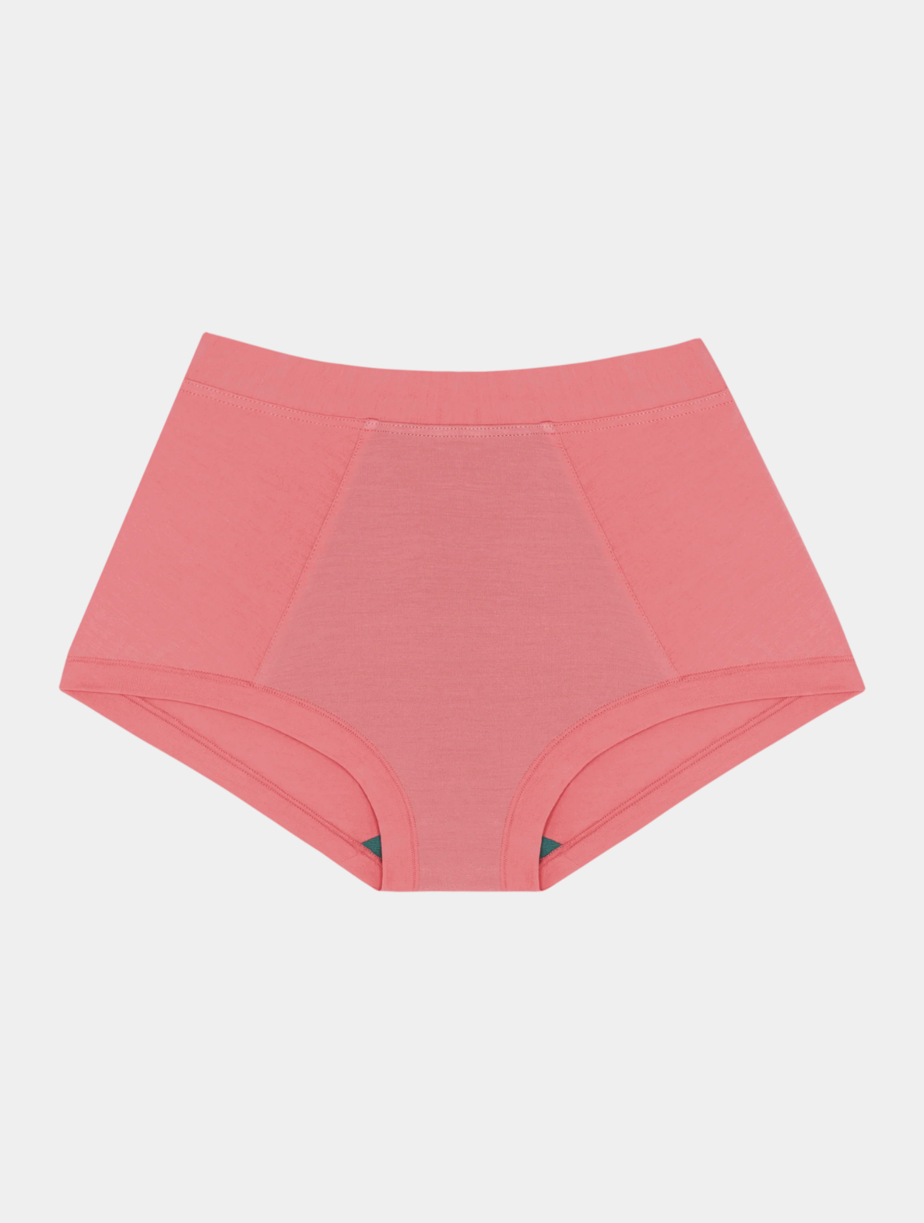 Brief Mineral Undies